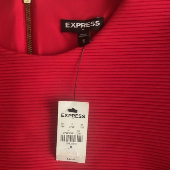 Express Dress - Picture 2 of 7